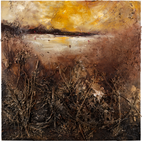 Into the forest - Marcos Tamargo